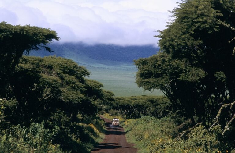 4 of the best road trips in Tanzania