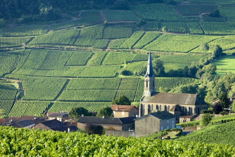 The 7 best road trips in France
