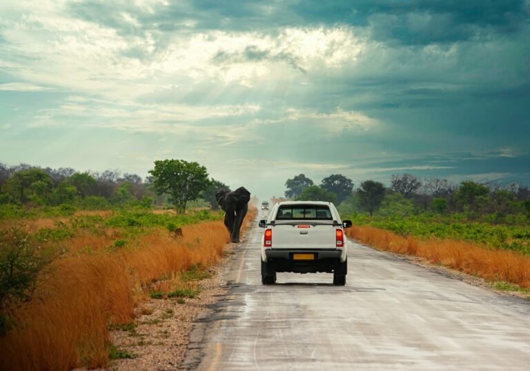 The 8 best road trips in Botswana