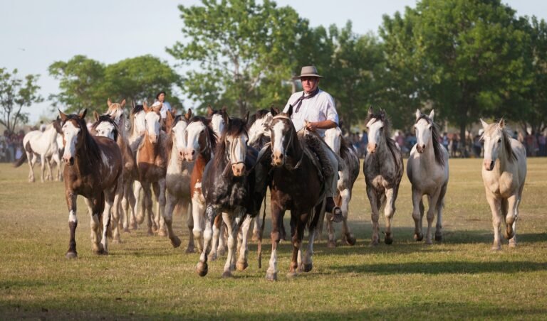 Where locals go on vacation: Argentina