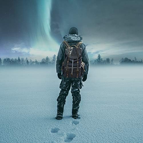 41cgqrwdR7L._AC_.jpg WAY ONE Premium Canvas and Leather Backpack Men Vintage Carry on Knapsack Rucksack Travel Laptop Backpacks Brown and Grey