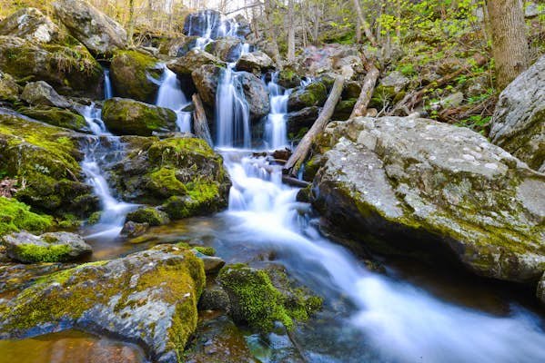 6 best day trips from Washington, DC