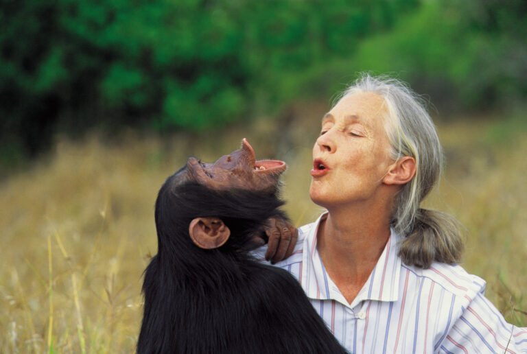 G Adventures expands ‘Jane Goodall Collection’ in honour of renowned environmentalist’s 90th birthday G Adventures expands ‘Jane Goodall Collection’ in honour of renowned environmentalist’s 90th birthday