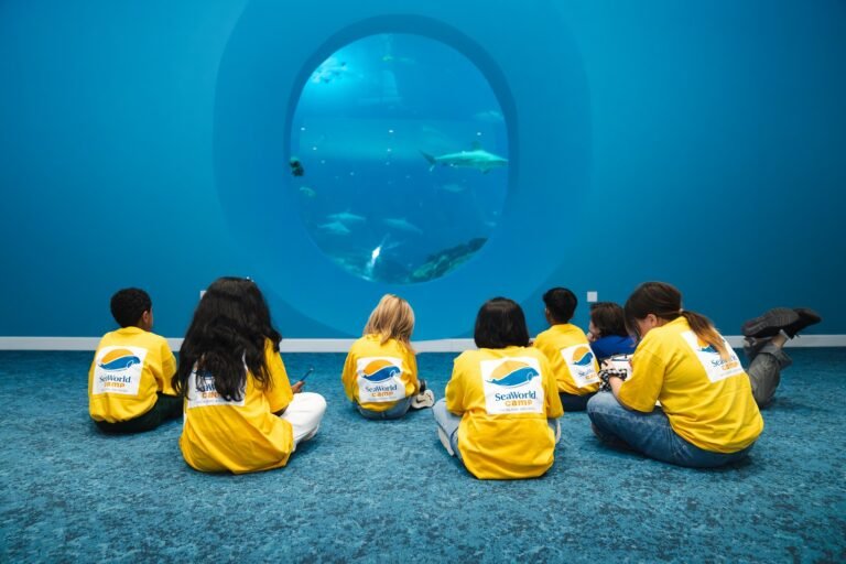 SeaWorld® Yas Island, Abu Dhabi launches educational four-day summer camp