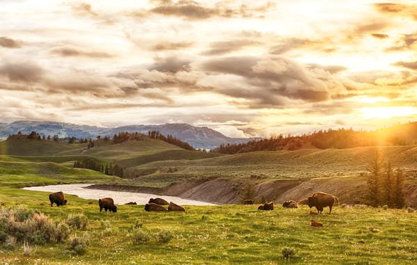 Best day trips from Bozeman