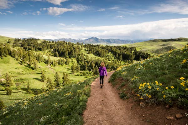 Best hikes in Bozeman – Lonely Planet