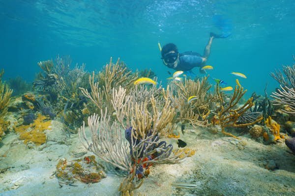 8 best places to dive and snorkel in Central America