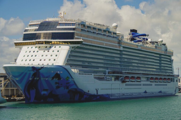 How many ships does Norwegian Cruise Line have?