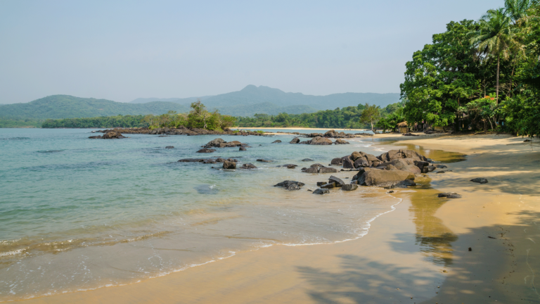 Sierra Leone and UN Tourism join forces to host Women in Tourism Regional Congress