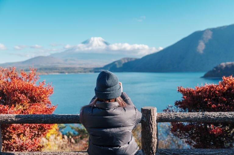 EaseMyTrip announces issuance of 1:1 bonus share following board approval