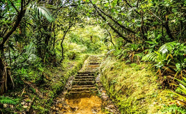 Guide to Dominica – Lonely Planet