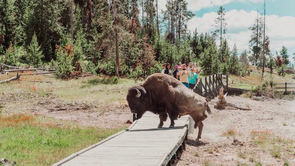 The best day trips from Jackson Hole