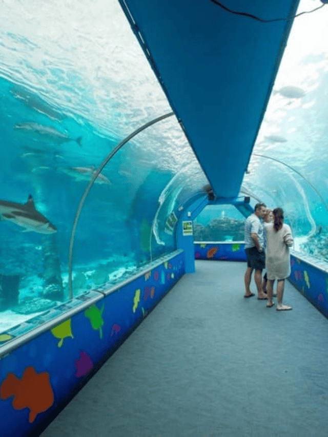 15 UNMISSABLE THINGS TO DO IN TOWNSVILLE, QUEENSLAND STORY