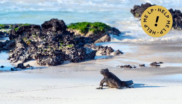 How to Visit Galápagos Islands