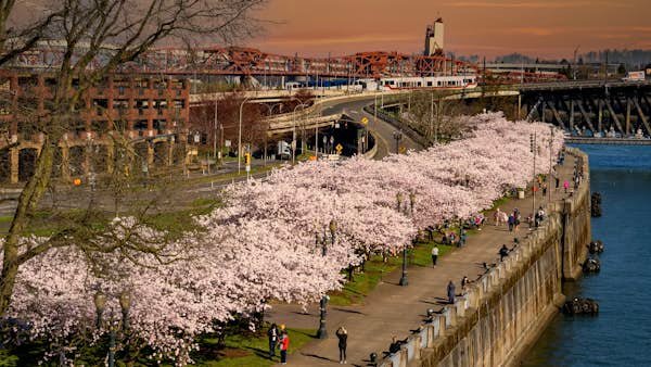 The best time to visit Portland, Oregon