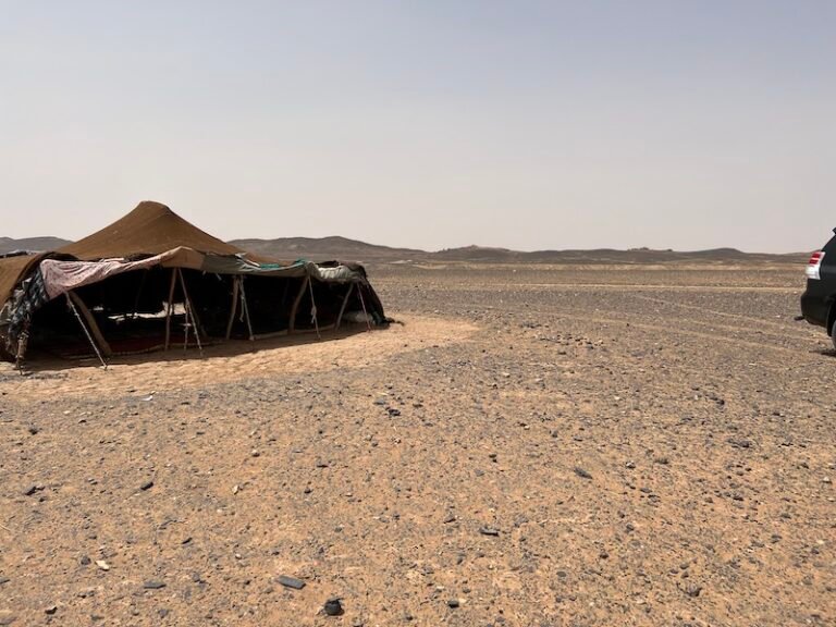 Eco friendly Tours in Sahara Desert Eco friendly Tours in Sahara Desert