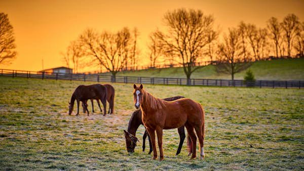 The 9 best things to do in Kentucky