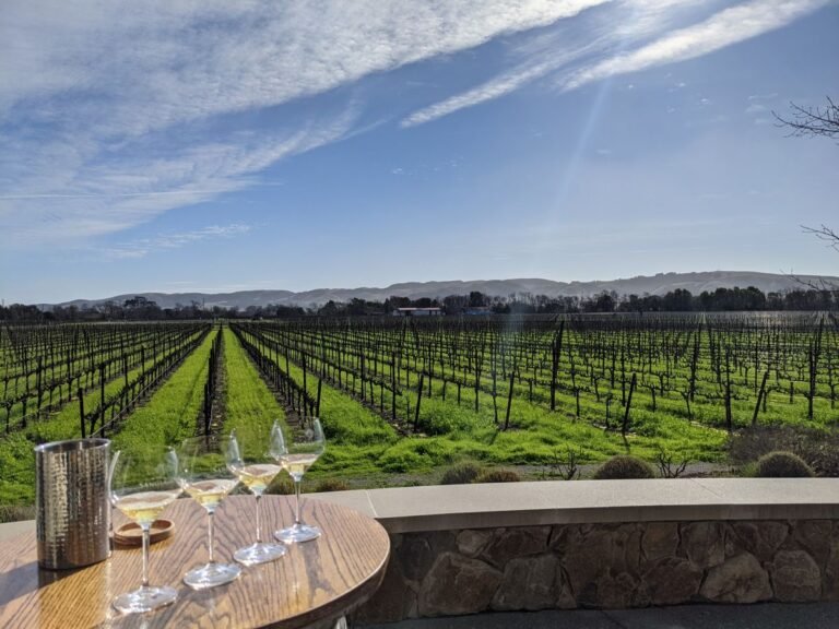 A Kid-Friendly Itinerary for Sonoma A Kid-Friendly Itinerary for Sonoma