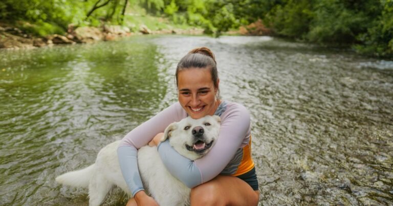 Traveling With Your Dog: 8 Key Questions To Consider Traveling With Your Dog: 8 Key Questions To Consider