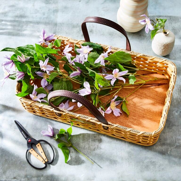 How to Fill Every Room With Flowers (Without Spending a Fortune)