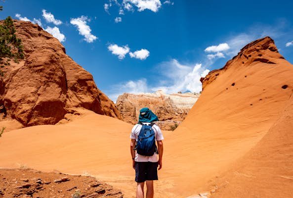 A road trip with chosen family A road trip with chosen family