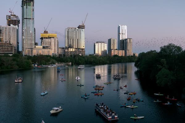 Bat-watching in Austin, Texas – Lonely Planet