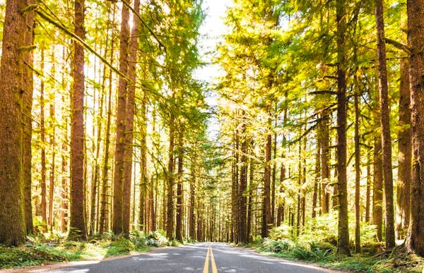 Lonely Planet’s list of the best US state parks