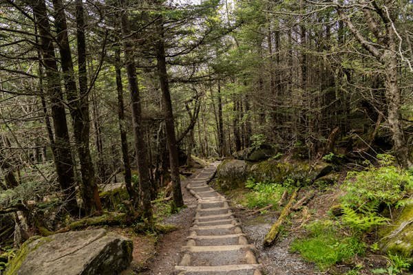 North Carolina’s 7 best hikes for waterfalls, fall foliage and mountain views North Carolina’s 7 best hikes for waterfalls, fall foliage and mountain views