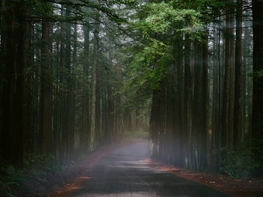 The perfect fall road trip on the Northern California coast