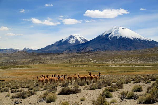 11 of the best national parks in Chile