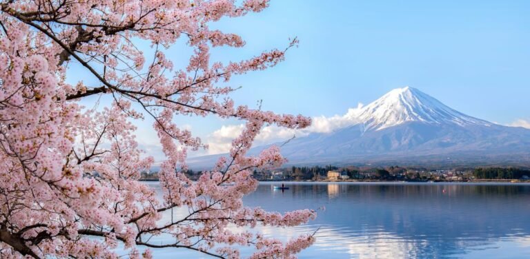 Venture Republic CEO Kei Shibata on coronavirus: “Web traffic is down to the floor” Venture Republic CEO Kei Shibata on coronavirus: “Web traffic is down to the floor”