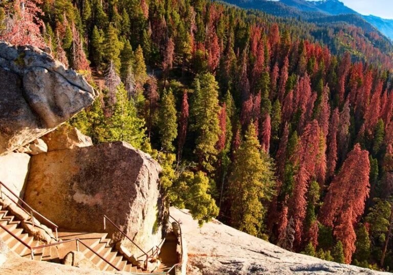 11 Places to See on a Road Trip from Yosemite to Sequoia National Park