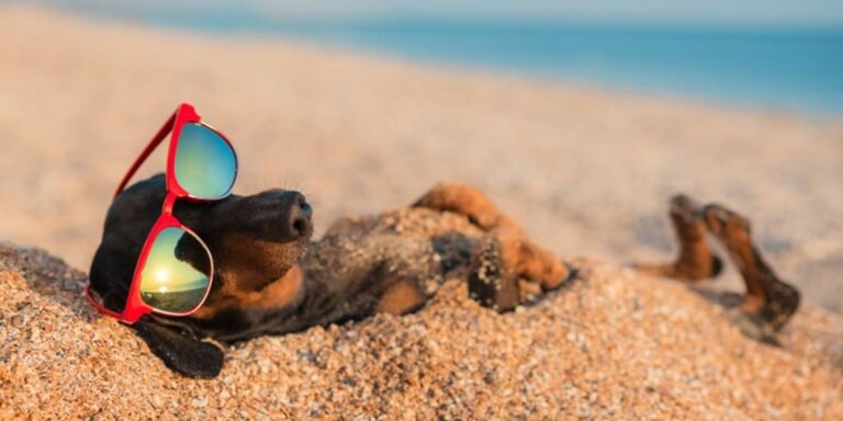 Earnings roundup: HomeToGo, MakeMyTrip | PhocusWire Earnings roundup: HomeToGo, MakeMyTrip | PhocusWire