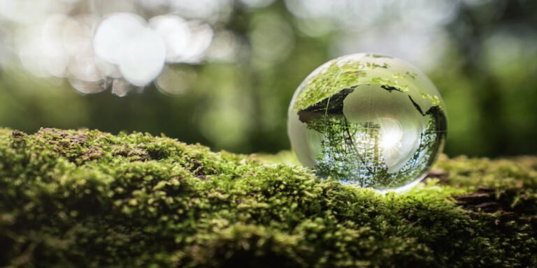 Is global consensus on climate action in travel possible?