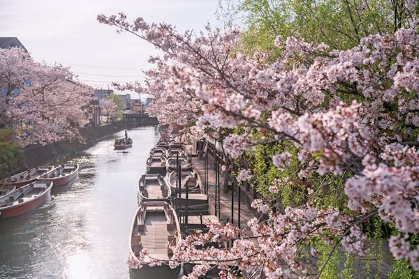 12 best places to visit in Asia in spring 12 best places to visit in Asia in spring