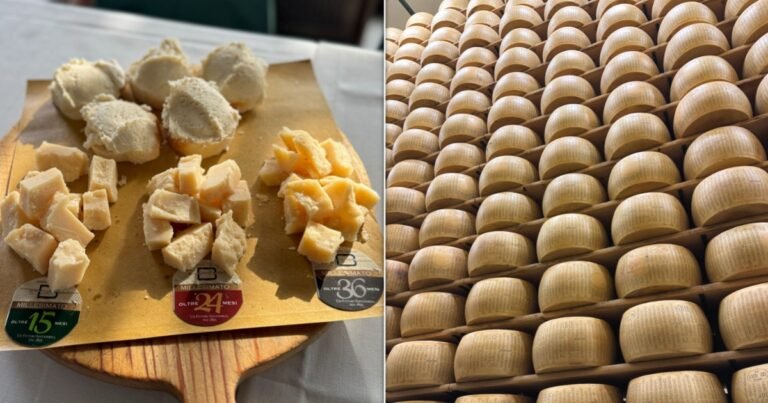 Parma: Underrated Italian City Is Destination For Cheese Lovers