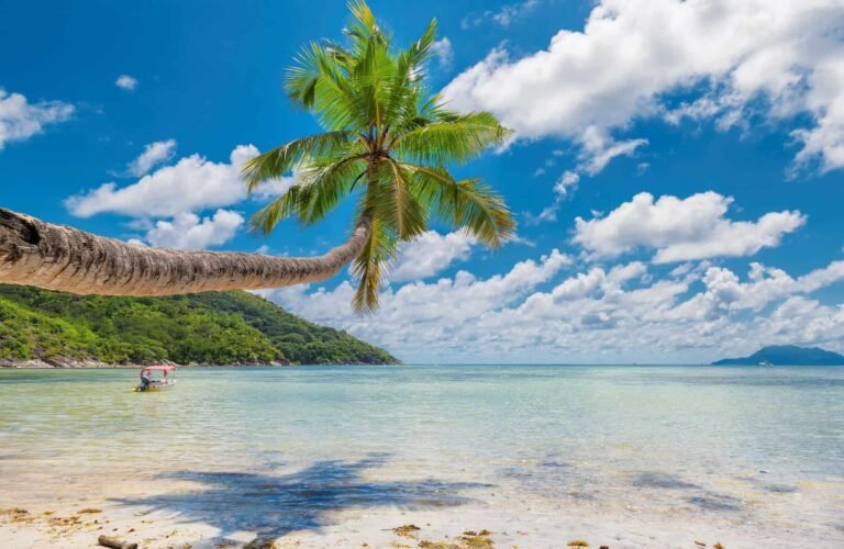 Goa Records Strong and Sustained Growth in Tourist Arrivals