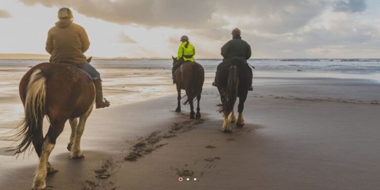 Tripadvisor’s Bokun creates activities service with JTB in Japan Tripadvisor’s Bokun creates activities service with JTB in Japan