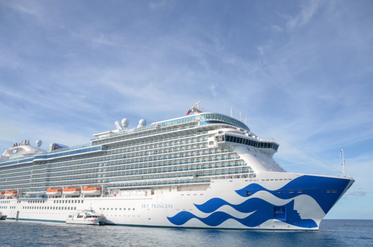 Princess Cruises president John Padgett on driving brand, tech innovation Princess Cruises president John Padgett on driving brand, tech innovation